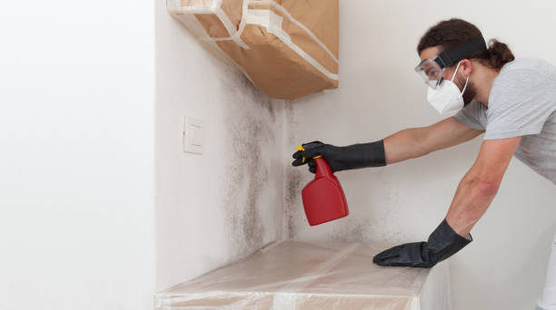 Professional Commercial Mold Remediation technician working in Bailey, NC