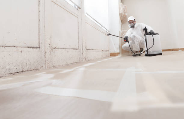 24/7 Emergency Commercial Mold Remediation experts in Bailey, NC